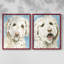 Impression encadrée Labradoodle I-Premium - prête à être accrochée - aucun clou requis - aucun clou requis-108034522-108034523