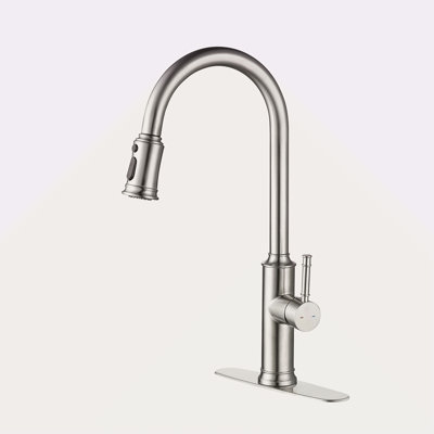 Kitchen Faucet With Pull Down Sprayer