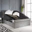 Javin Upholstered Ottoman Storage Bed-1872453859