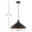 Luminaire suspendu conique à 1 lumière Schultz-349150416-349066268