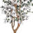  5ft. Dogwood Silk Tree