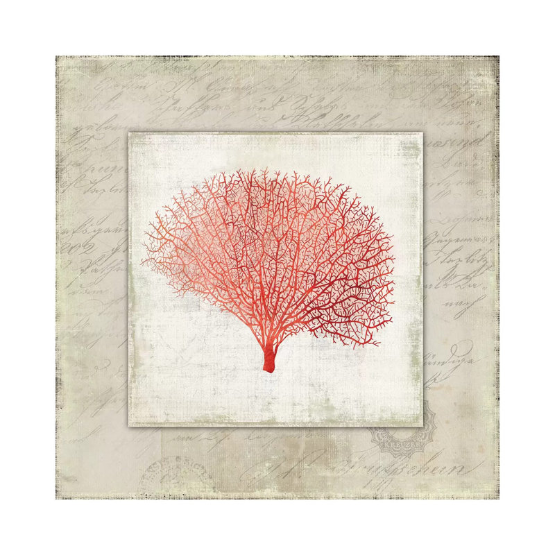 Coral Linen II by Aimee Wilson - Wrapped Canvas Print, 30.48 cm H x 30.48 cm W
