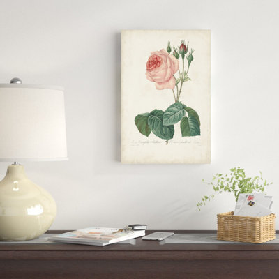 Roses rétro Redoute I