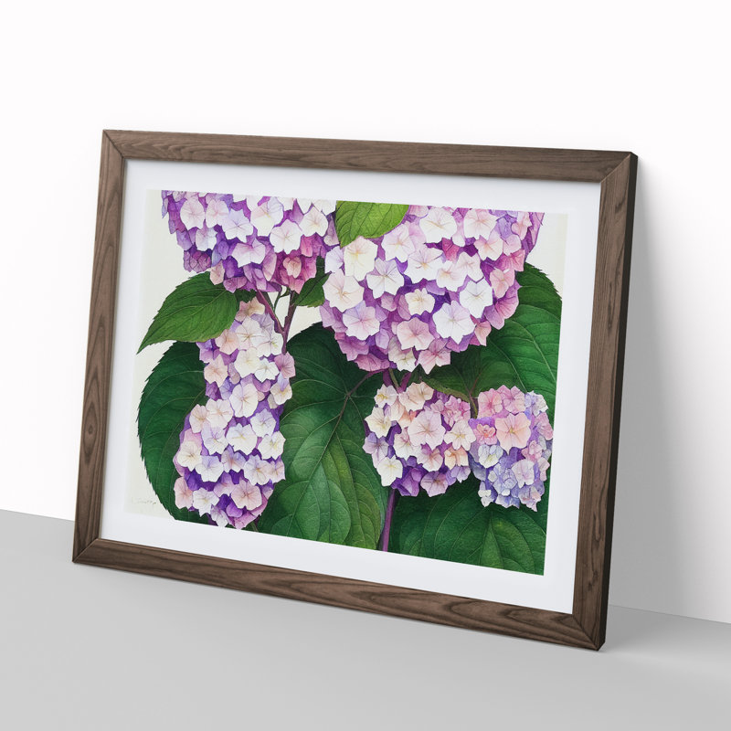 Watercolour Hydrangea Flowers Vol.3 - Framed Print, 25cm H x 34cm W x 2cm D, Walnut
