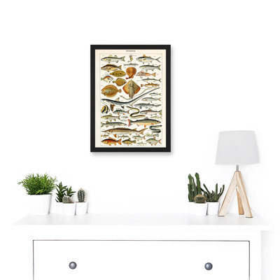 Millot Encyclopedia Vintage Fish Shark Ray Nature by Adolphe Philippe Millot - Single Picture Frame Print