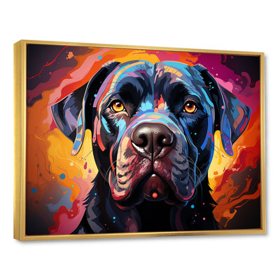 Cane Corso Confidence IV