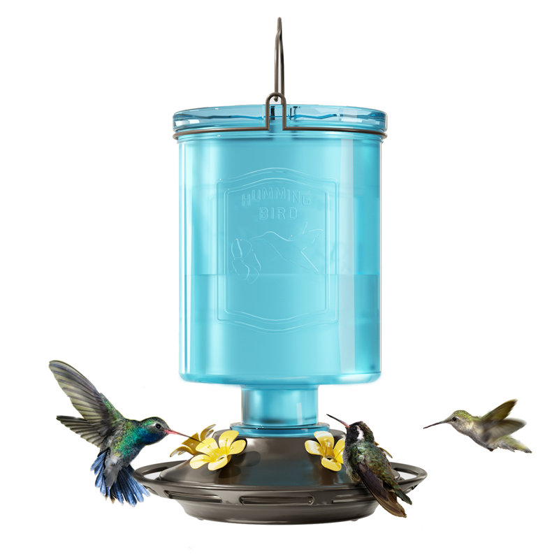 Mangeoires de colibri Byrce