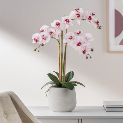 Faux orchidée Phalaenopsis