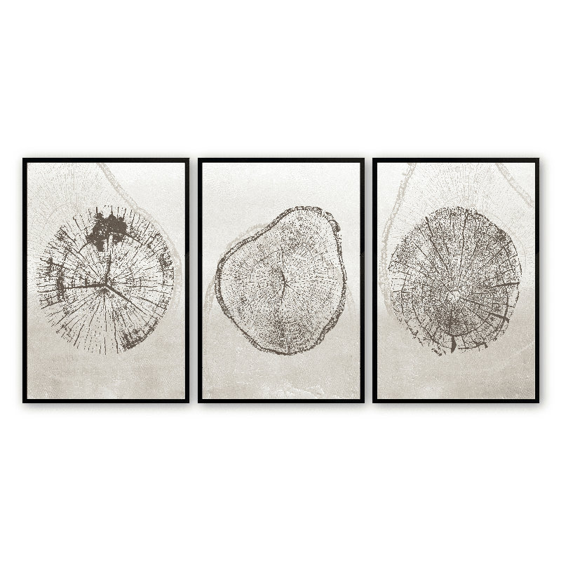 Anneau d'arbre beige Benji 3 pièces par Line2Form, Noir satiné, H 11 po x l 14 po x P 1,25 po