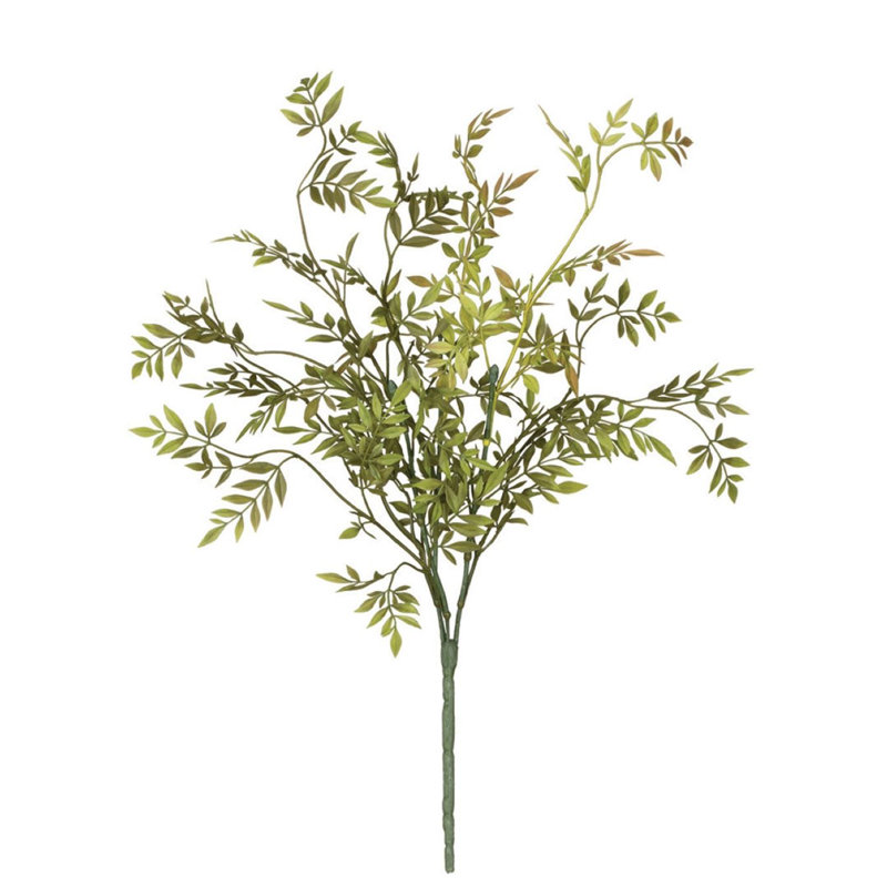 Pick Wisteria