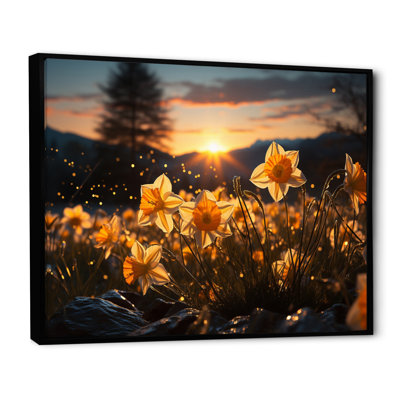 Daffodils Field Sunset I - impression
