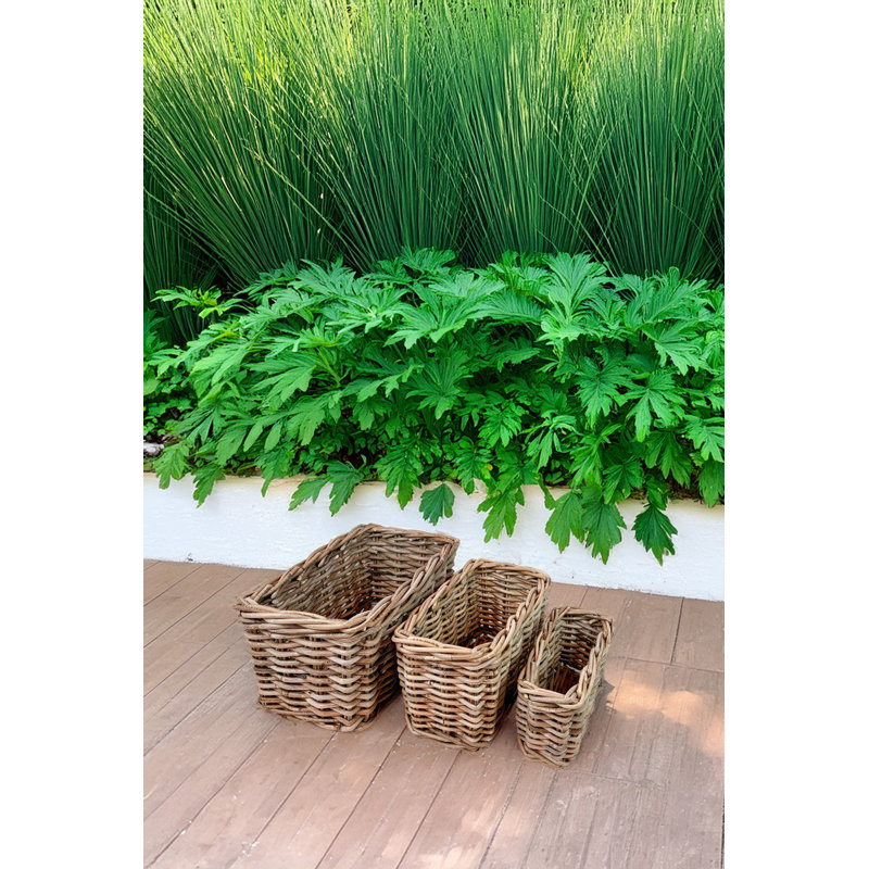 Ensemble de 3 paniers rectangulaires en rotin gris