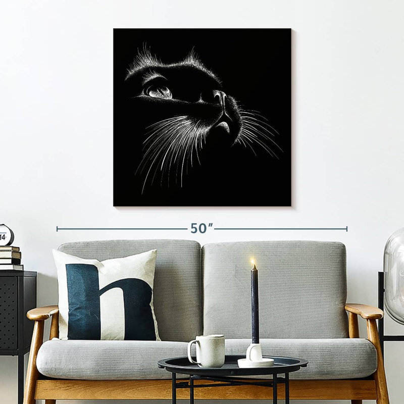 Caractéristiques du chat noir, H 30 po x l 30 po