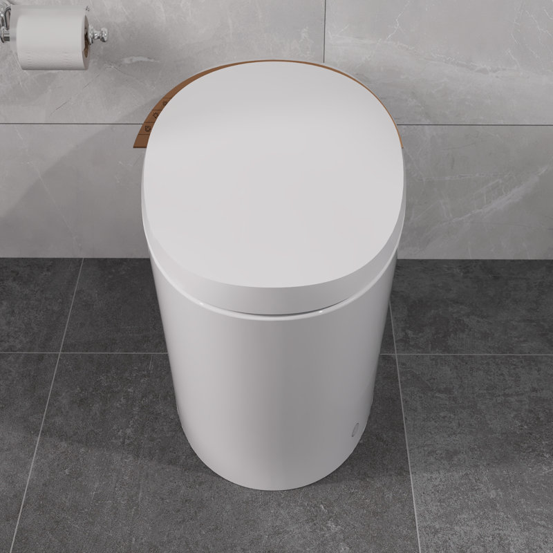 Toilette allongée intelligente sans réservoir, chasse d'eau au pied, siège chauffant, veilleuse, siège à fermeture en douceur, standard