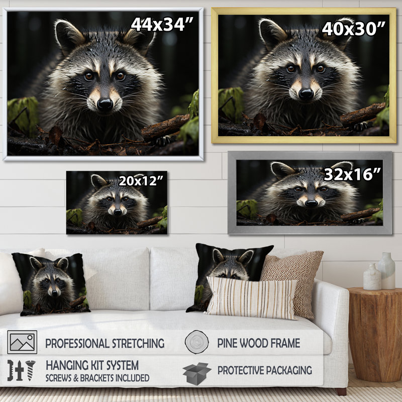 Curious Raccoon II sur impression sur toile, Cadre flottant doré, H 12 po x l 20 po x P 1 po