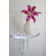 Plancroft Plastic / Acrylic Bracket Shelf