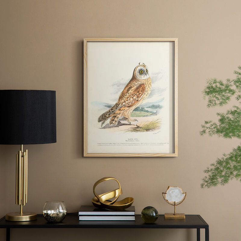 Hawk Owl, reproduction encadrée - bois massif, Naturel, H 11 po x l 9 po