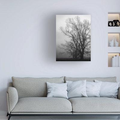 Bolog Roseanne Jones Winter Gloom Canvas Art