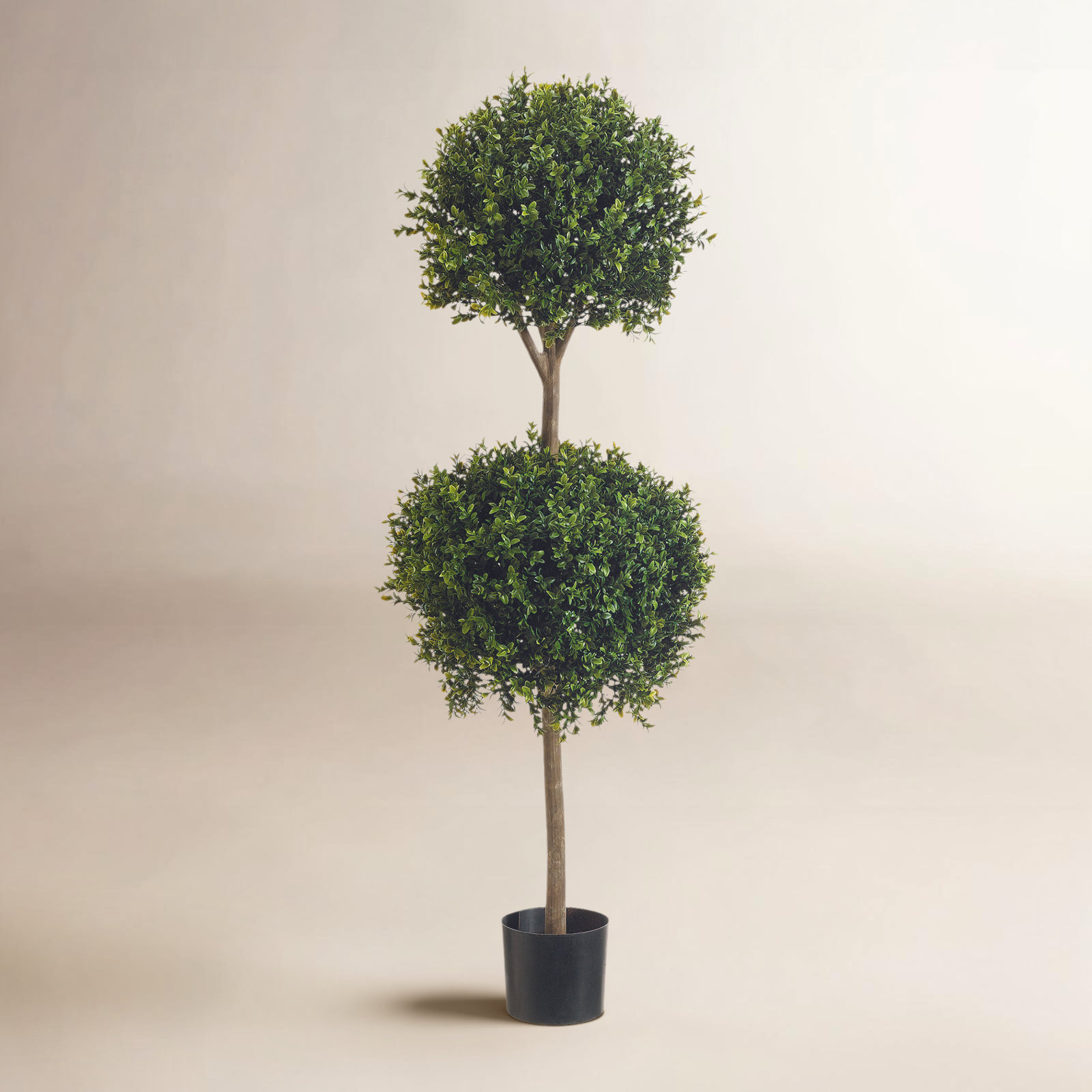 Weatherhill 55" Boxwood Topiary with Base