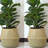 Bay Isle Home™ Zetilla Seagrass Decorative Basket