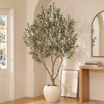 Alvina 96" Olive Tree in Pot