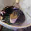 Customer photo 4 of 10