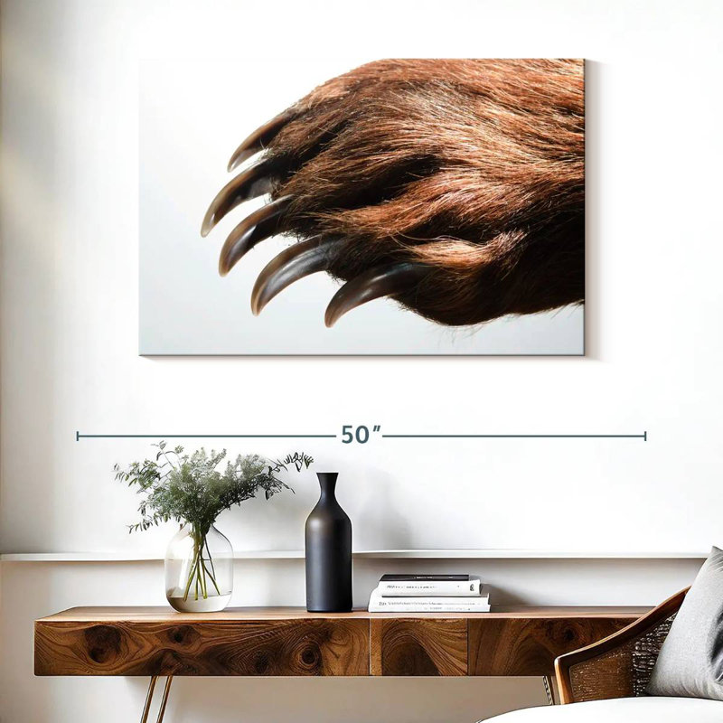 Griffes de l'ours brun Brampt