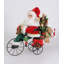 Lighted Biking Through Christmas Santa