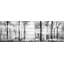 « panoramic forest »-impression sur bois sur bois-15990167