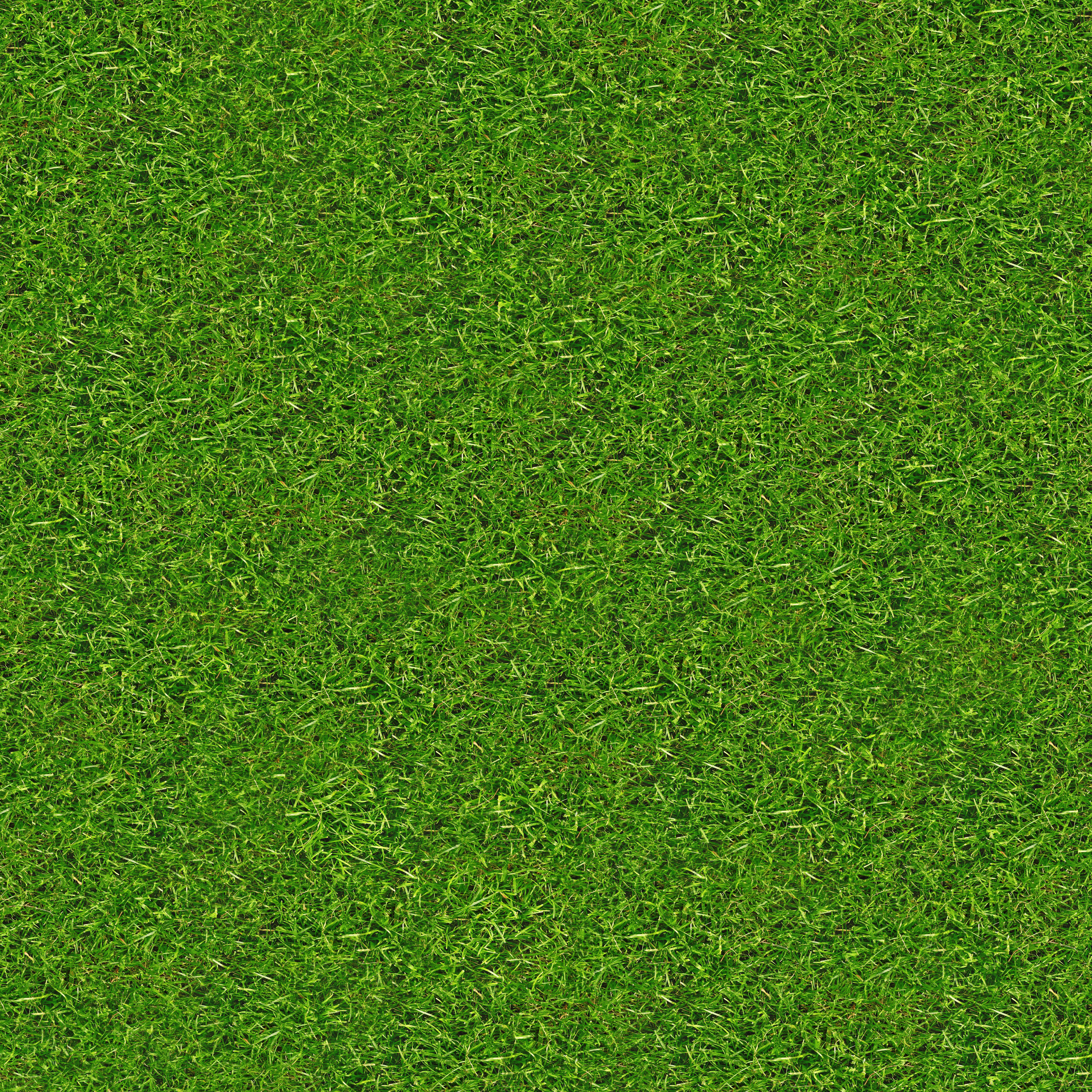 Texture Ran Ri Latitude Run Grass Texture by Nsa Digital Archive - Print | Wayfair.co.uk