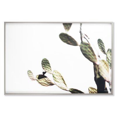 Az Botanical 38 Print by Chris Dunker