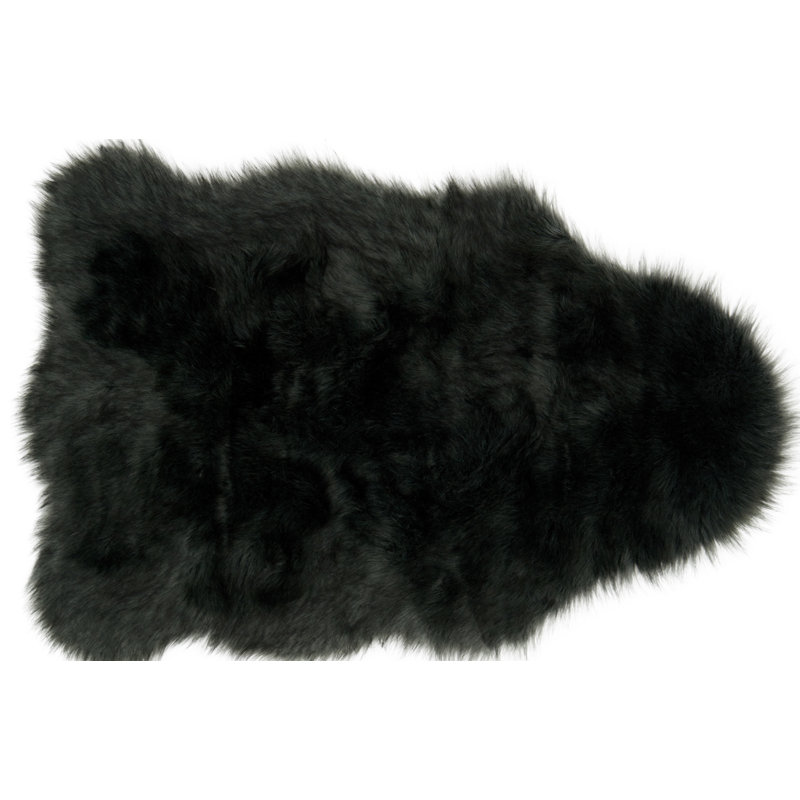Panella Wool Indoor Rug, Rectangle 2' x 3'
