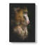 Mandrill Monkey - Wrapped Canvas-56644227