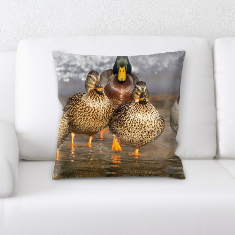 Coussin canard