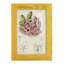 Cactus antique III, impression sur papier-881012499-881012500