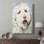Labradoodle II - galerie Cavas sur mesure-1929277813