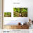 Jungle Adventure Rope Bridge-107508650