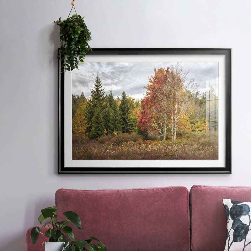 Woodland Variété, impression sur papier encadrée, H 19 po x l 27 po x P 1,5 po, Noir