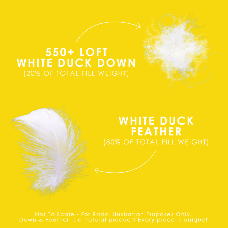 Twin Size White Cotton Feather and Down Duvet