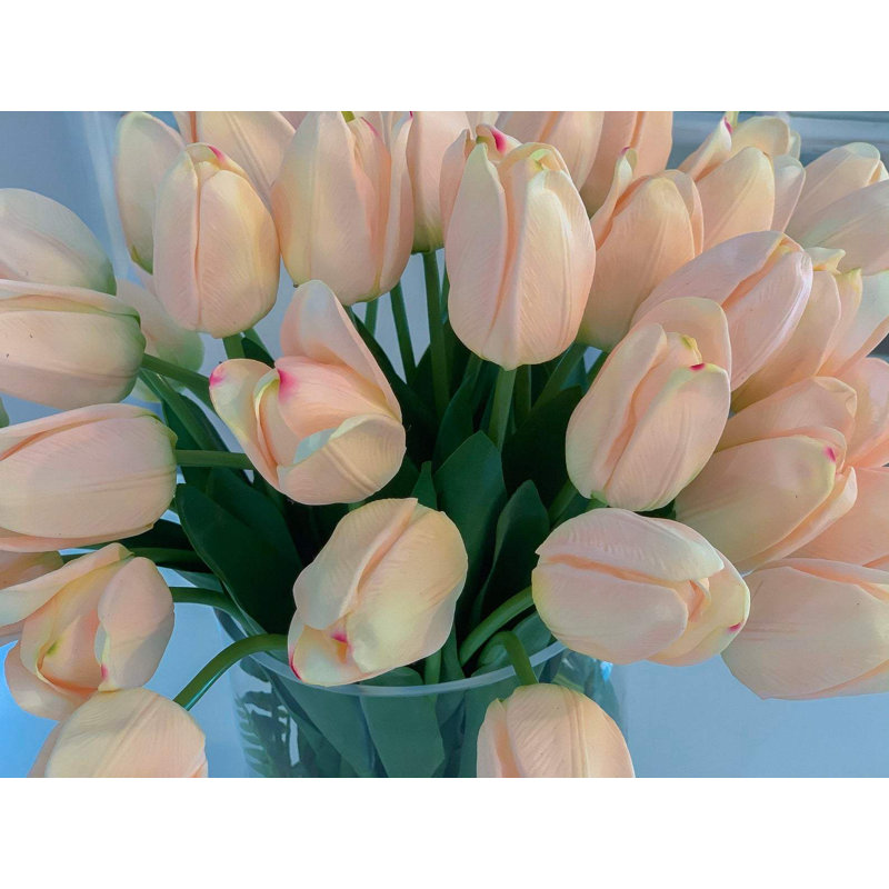 Grande disposition de tulipes en verre cylindrique