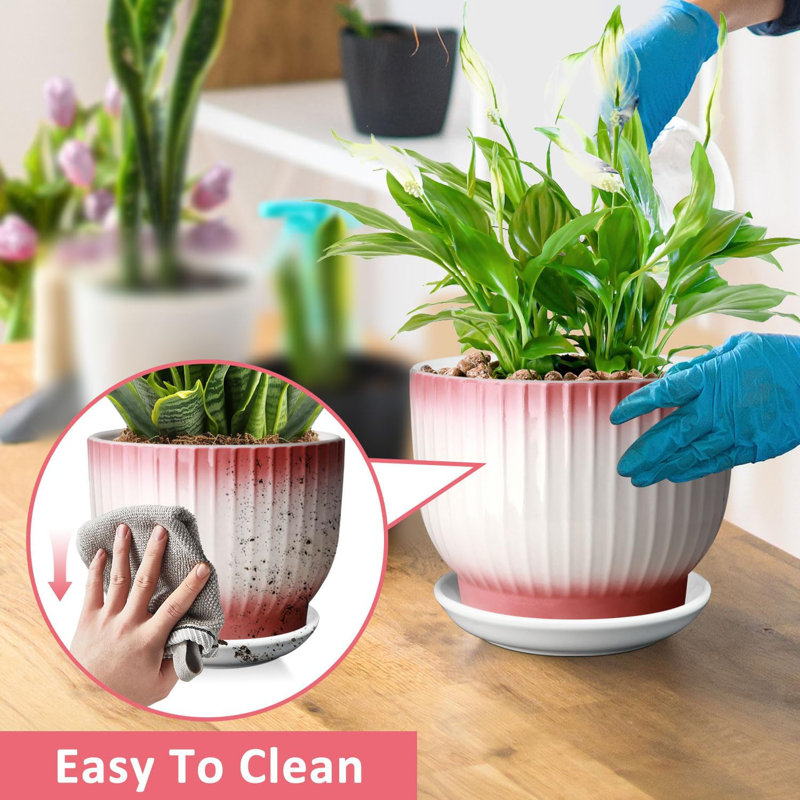 Pot à fleurs 8 "en céramique avec drain et soucoupe
