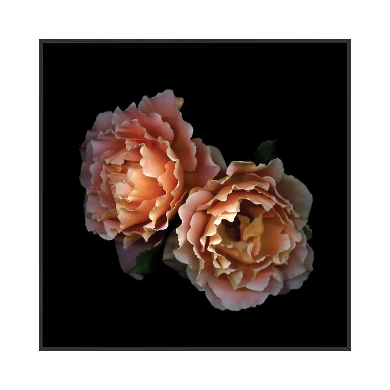 Le Temps des Roses, reproduction de photo sur toile tendue, H 18 po x l 18 po x P 1,5 po, Toile avec cadre noir, Pas de tapis