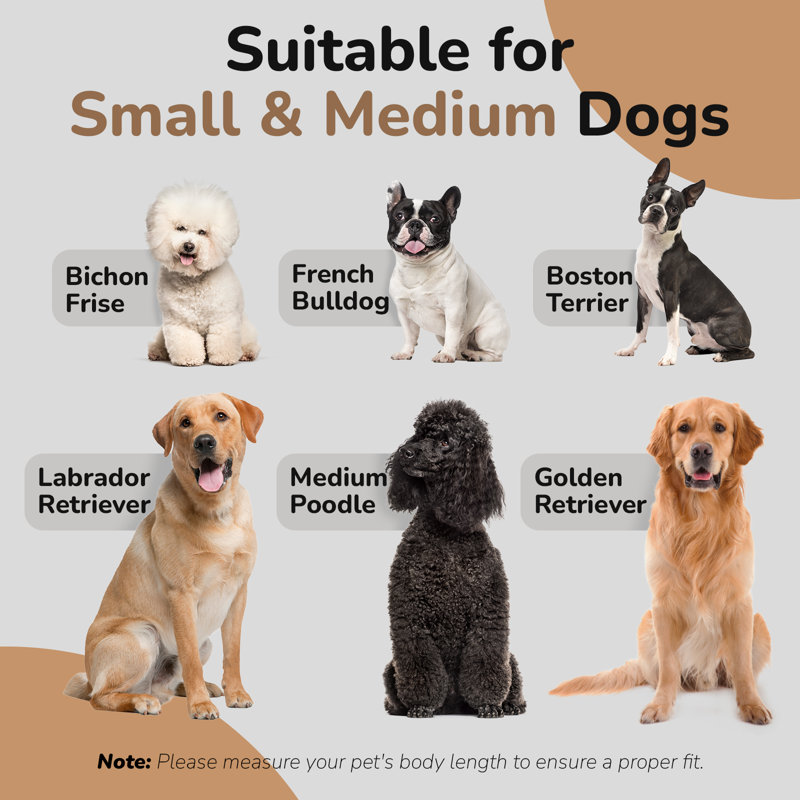 Lit pour animaux Tucker Murphy Pet ™ Dinel, Bleu marine