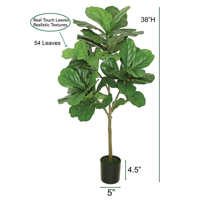 Sand & Stable Faux Fiddle Leaf Fig Tree in Pot & Reviews | Wayfair