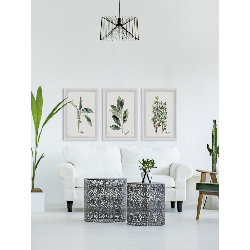 Trio de plantes, H 36 po x l 24 po