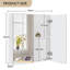  Surface Mount Mirror Cabinet