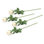 Rose Arrangement
