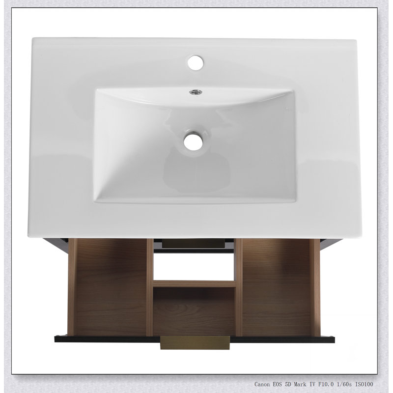 Meuble-lavabo de 30 po avec lavabo et 2 tiroirs à fermeture en douceur, poignée dorée-LPB01030BCTG-BL9075