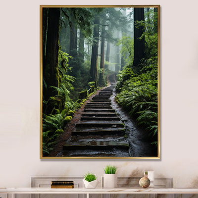 " USA Muir Woods National Monument I "