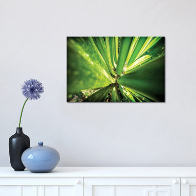 Tropical Forest VIII 1 Piece Wrapped Canvas Wall Art